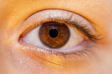 macrophotograph of a brown human eye of a young female with traces of black mascara on the eyelashes and surrounding skin area.
