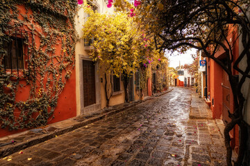 narrow street in old mexican town