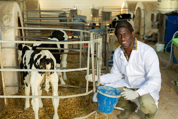 Portrait of smiling african american man dairy farm owner wearing white coat taking care of calves...