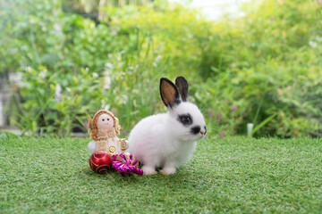 Little healthy rabbit bunny playful with angel doll ornament on green grass over spring bokeh green background. Lovely baby bunny white rabbit playful on green grass garden. Holiday merry Christmas.