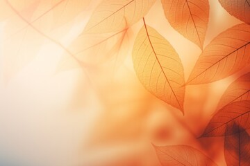 Seasonal fall foliage with detail textures, frame from autumn leaves. Yellow orange beige gradient color. Botanical trend background. Selective focus, bokeh effect. Copy space.