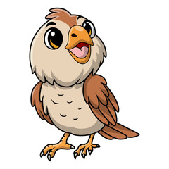 Cute quail bird cartoon on white background