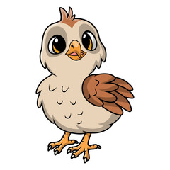 Cute quail bird cartoon on white background