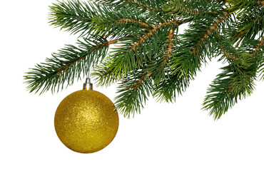 Christmas tree branch and single golden glass ball isolated on white, transparent background, PNG. New year decor, traditional holiday decoration