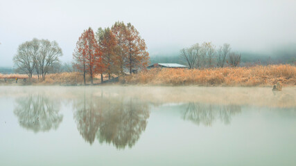 물안개 피는 용담호 주천생태공원의 추경