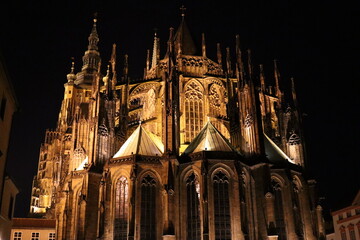 Fototapeta na wymiar St. Vitus Cathedral, Prague Praga Praha