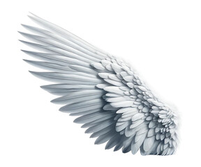 Obraz premium 白い片翼-Generative AI
