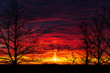 A brilliant sunset of warm to cool colors with a sun pillar and the silhouettes of trees in the foreground. 