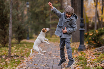 Caucasian boy playing with a dog for a walk in the autumn park. 