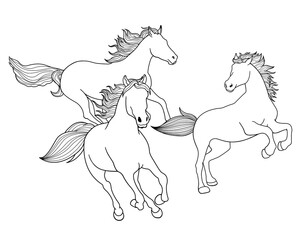 Three Horse racing modern line drawnind black and white for decor.
