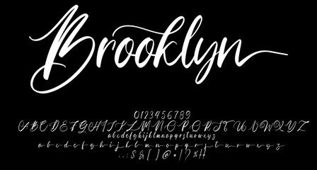 brooklyn font script vector lettering. Best Alphabet Alphabet Brush Script Logotype Font lettering handwritten - obrazy, fototapety, plakaty