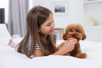 Little child playing with cute puppy on bed at home. Lovely pet