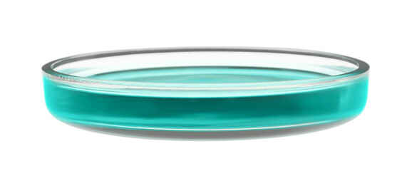 Petri dish with turquoise liquid isolated on white