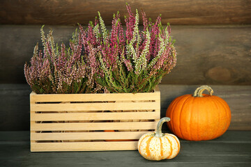 Beautiful heather flowers in crate and pumpkins on table near wooden wall