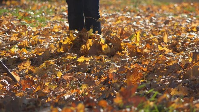 Details of feet walking through fallen autumn leaves, front view