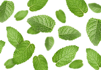 Fresh mint leaves falling on white background