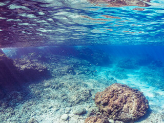 美しいオヤビッチャ（チョウチョウウオ科）他の群れ。

東京都伊豆諸島式根島泊海水浴場にて。
2023年11月1日〜5日撮影。
水中写真。

A school of the Beautiful Sergeant Major and others.

At Tomari beach, Shikinejima, Izu Islands, Tokyo.
Photo Taken November 1-5, 