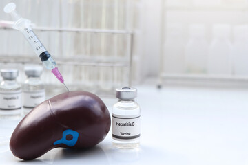 Hepatitis B vaccine in a vial, immunization and treatment of infection