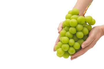 Hand Holding Fresh Green Grape Fruit. isolated on white background