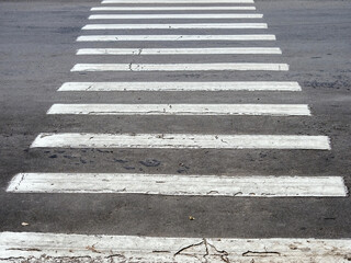 Pedestrian white zebra road crossing