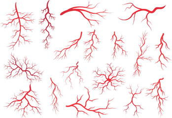 Human Veins and Arteries, red blood vessels design. black vector illustration design on white background - obrazy, fototapety, plakaty