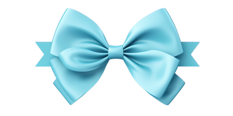 Blue Bow Tie