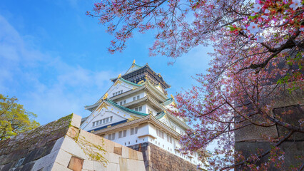 Fototapeta premium Osaka Castle in Osaka, Japan. It's one of Osaka's most popular hanami spots during the cherry blossom season