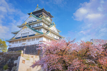 Osaka Castle in Osaka, Japan. It's one of Osaka's most popular hanami spots during the cherry blossom season - 683132226