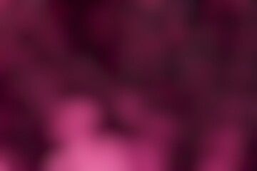 Abstract blurred background image of pink color gradient used as an illustration. Designing posters or advertisements.