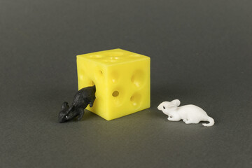 A large piece of cheese and two mice on a gray background.
