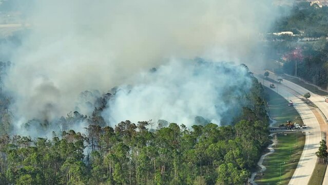 Aerial view of fire department firetrucks extinguishing wildfire burning severely in Florida jungle woods. Emergency service firemen trying to put down flames in forest
