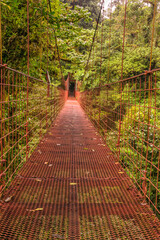 Portait view of a red hanging bridge in the cloud forest