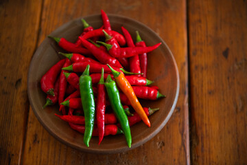 幻の唐辛子　香川本鷹