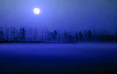 A misty night, a quiet field.