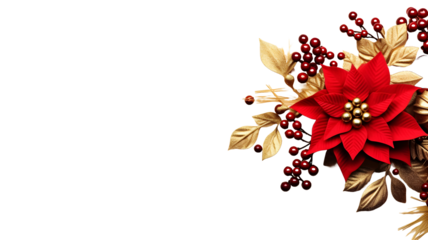 Christmas red flower poinsettia, fir tree branches berry twigs pine cones, golden ball on isolated on white or transparent background