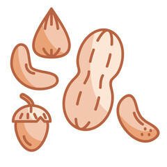 Nuts Icon