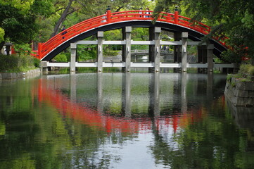bridge over the river