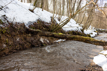 Spring meltwater in the stream washing away the coastal slope