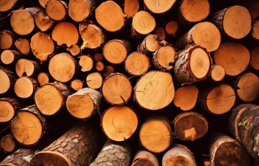 Möbelaufkleber stack of firewood © adince