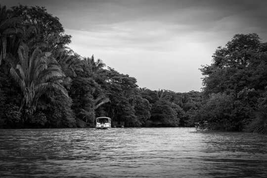 Monochrome landscape of the Tempisque River, Costa Rica