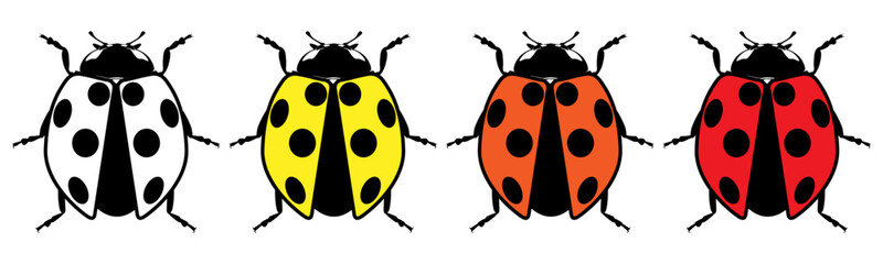 Cute ladybug or ladybird simple flat design red and black. Vector illustration on white background