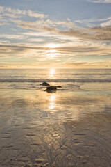Portrait view of a golden Sunset on the Ocean