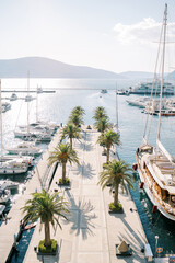 Ship and yachts are moored on both sides to a pier with green palm trees. Top view