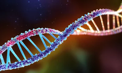 Photo sur Plexiglas Helix Bridge DNA, double helix, rna