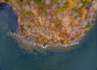 Colorful autumn forest with trees on the shore of a blue lake - top aerial view.