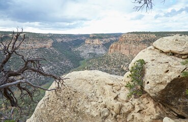The Petroglyph Trail of Mesa Verde National Park, Colorado