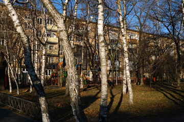 Image of the street, trees, houses in the sunlight. Street landscape.