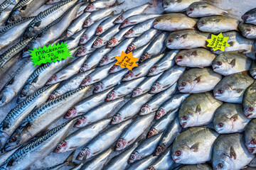 Fresh herring and other fish for sale at a market
