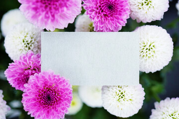 黒背景に白とピンク色の丸い菊の花に囲まれたグレーのかわいいコメントスペースのモックアップ