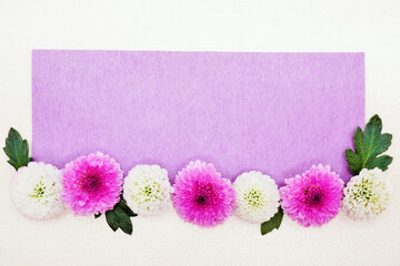 クリーム色の背景に白とピンクのポットマムの花を並べた可愛い紫のメッセージフレームのモックアップ